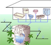 domestic-system